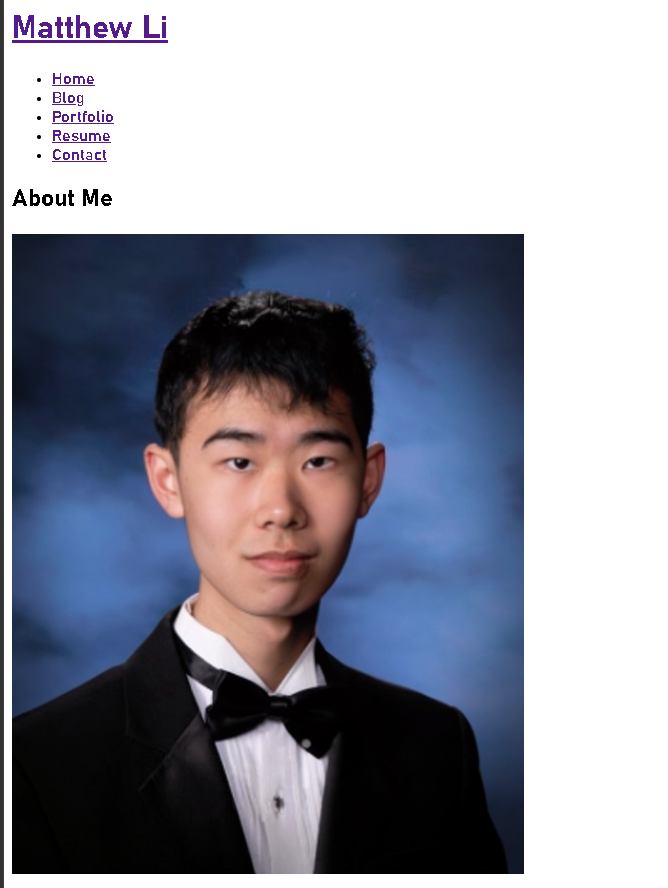 Screenshot of Matthew Li's website